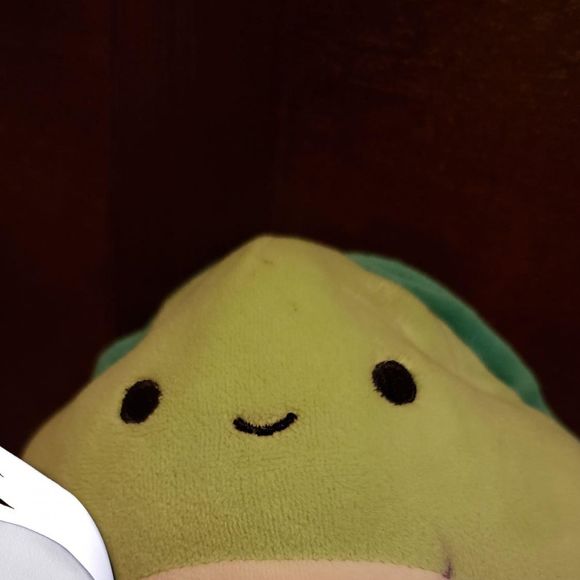 tutieturtle